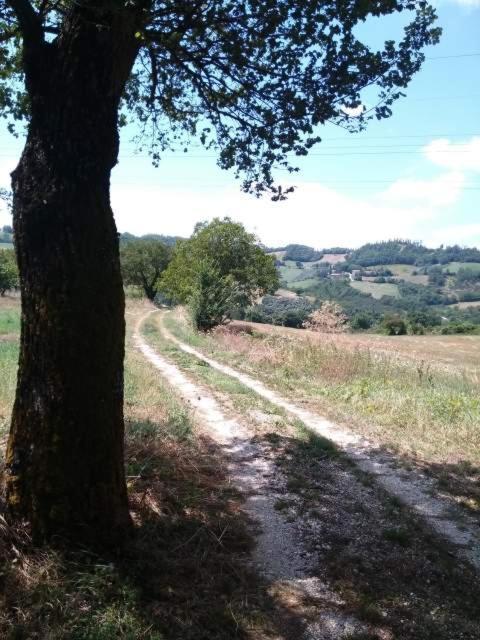 Casa Vacanze Campo D'Arco Nocera Umbra Exteriör bild