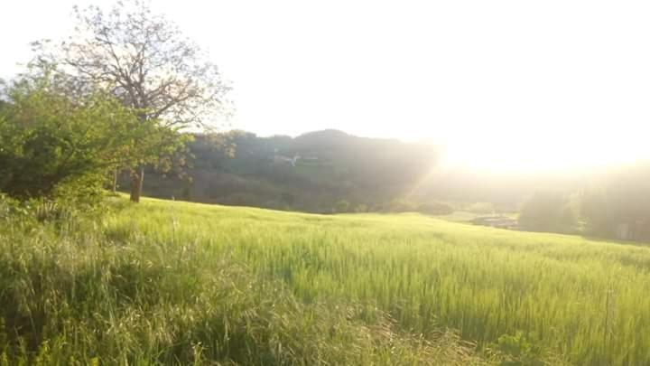 Casa Vacanze Campo D'Arco Nocera Umbra Exteriör bild